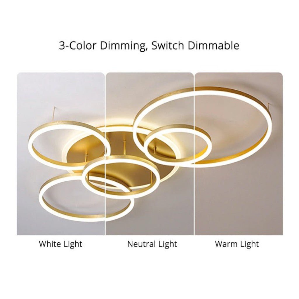 Floating Ring LED Ceiling Lamp - Tegulane Global