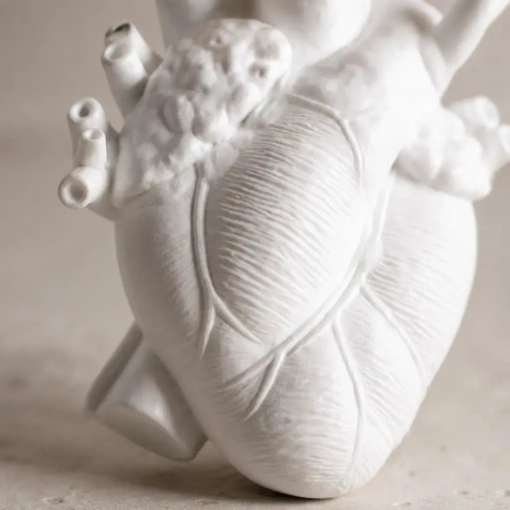 Anatomical Heart Resin Vase