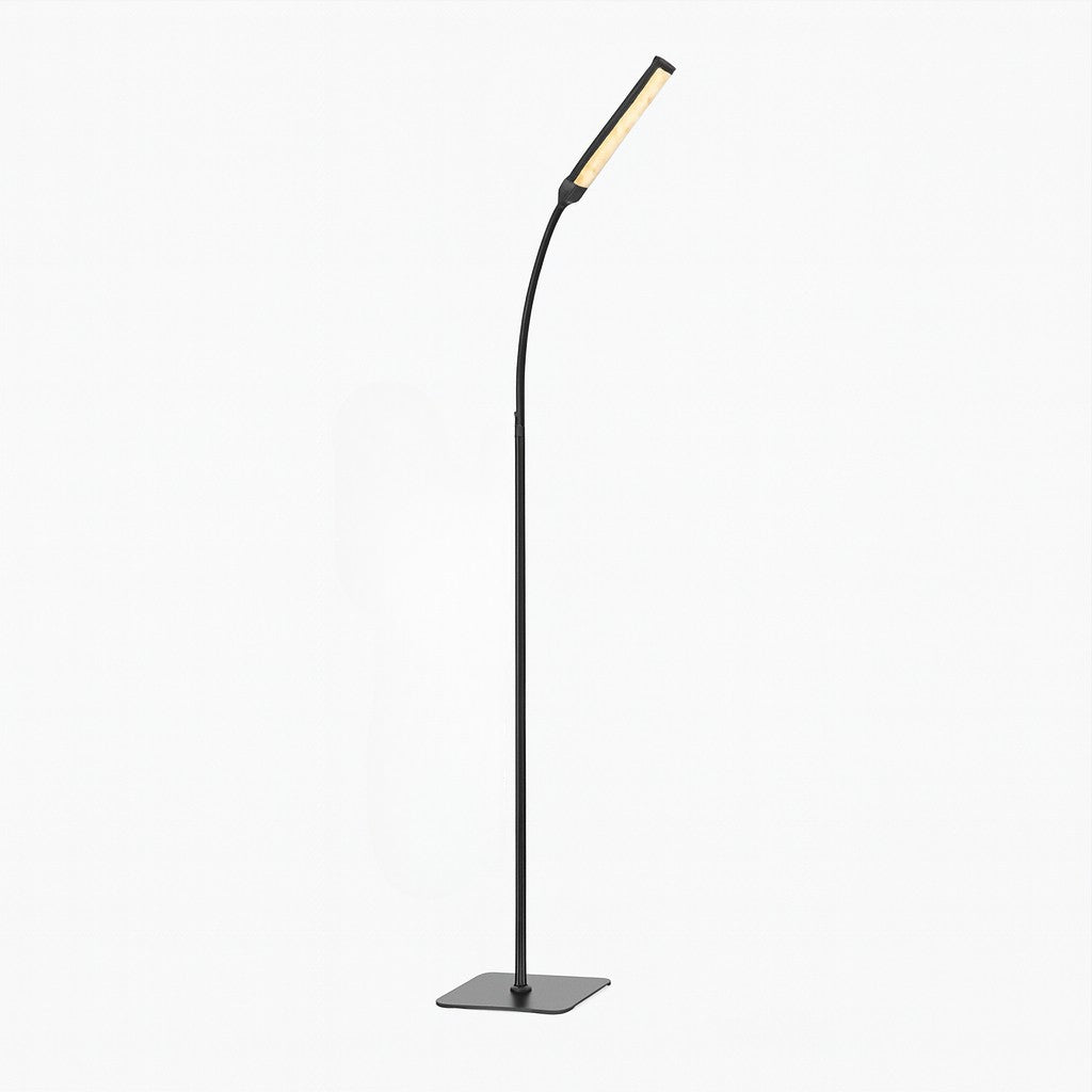 Black Standing Light - Nordic LED Floor Lamp - Tegulane Global