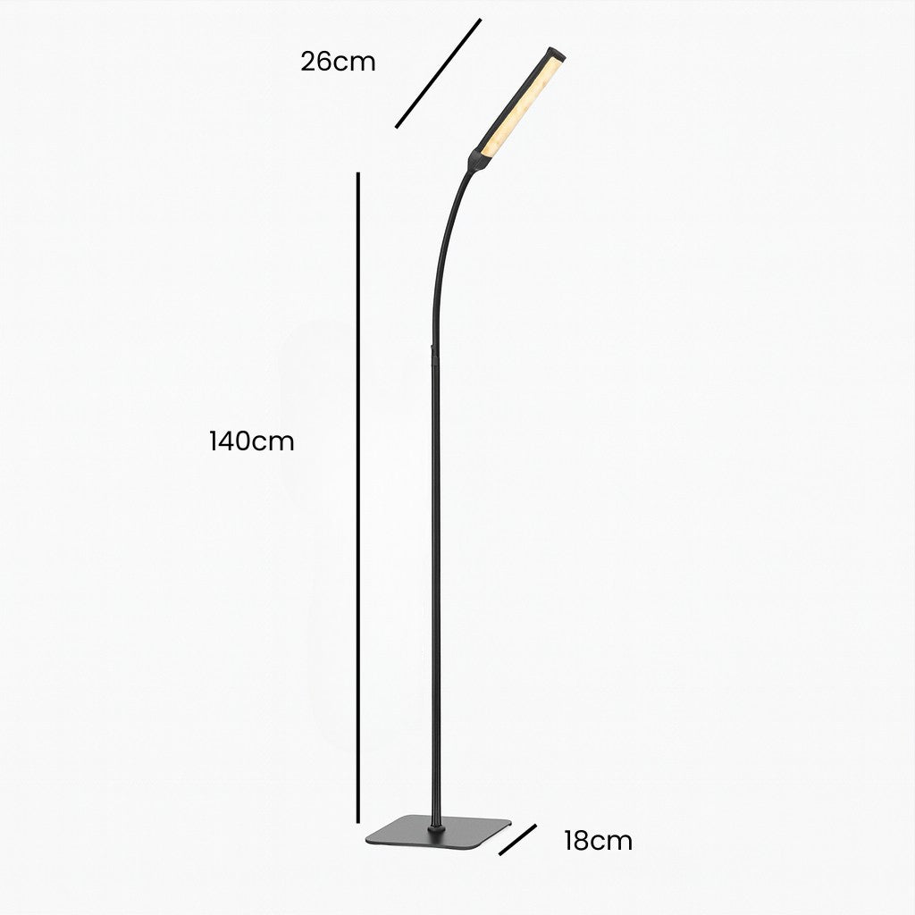 Black Standing Light - Nordic LED Floor Lamp - Tegulane Global