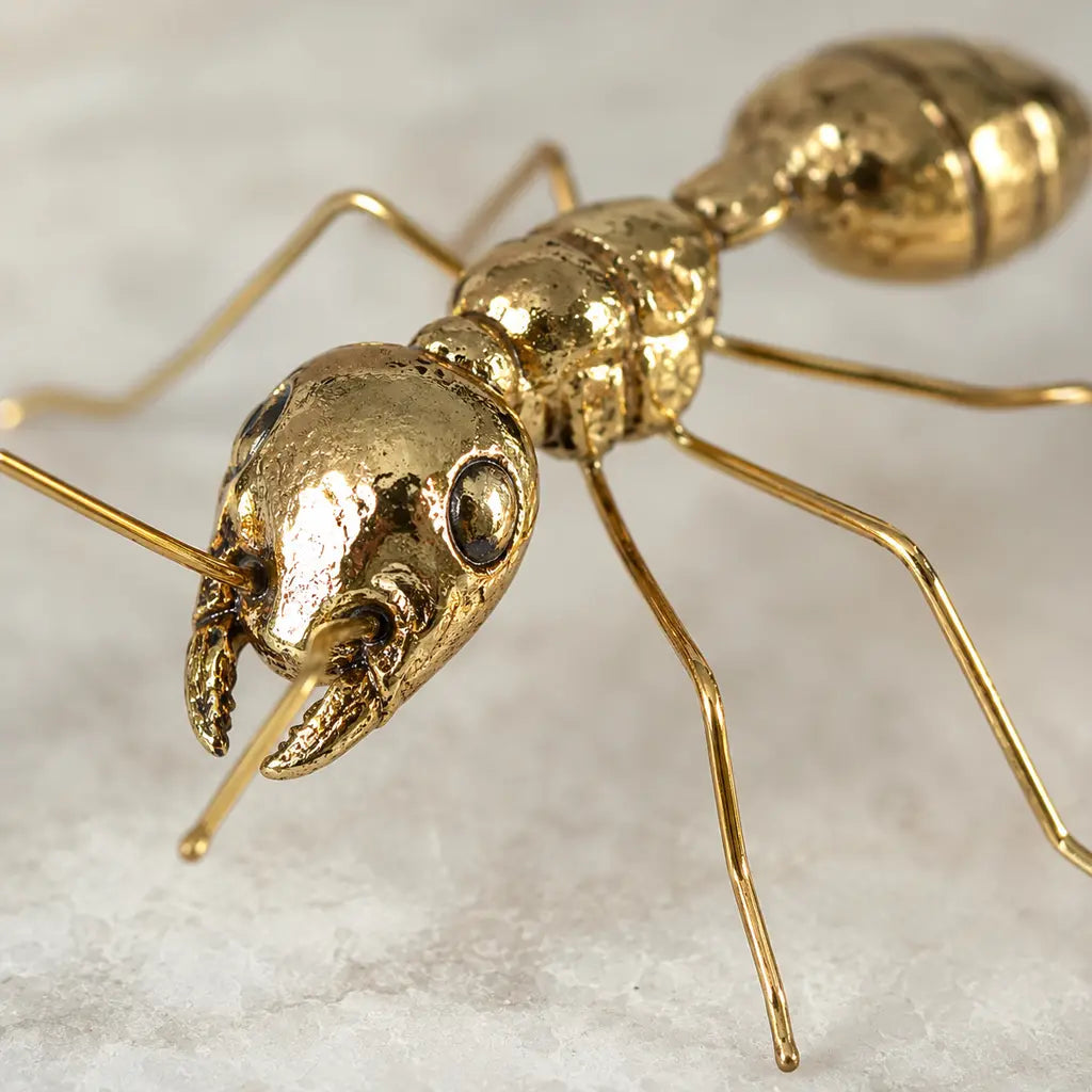 Gold-Finish Zinc Alloy Bug Sculpture - Tegulane Global