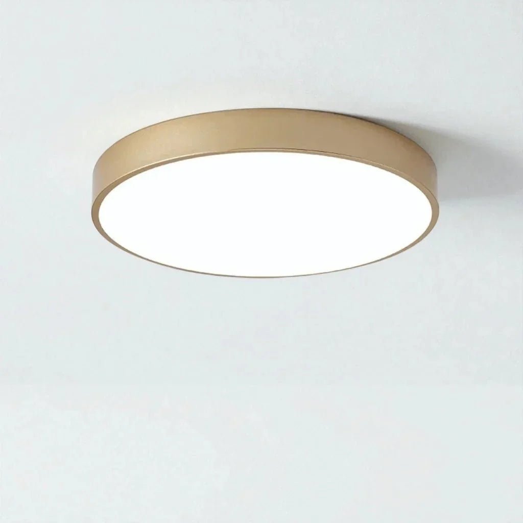 Round Slim Semi Flush Ceiling Light Fixture For Living Room - Tegulane Global